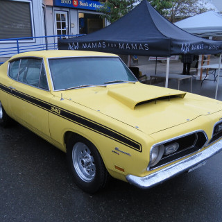 2022_show_n_shine-109