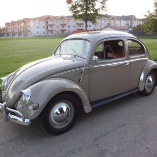 1957 Volkswagen Standard Beetle - Owner Harry Oppenlander